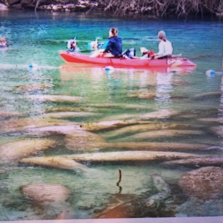 Appartement Manatee Watch Den à Crystal River Extérieur photo