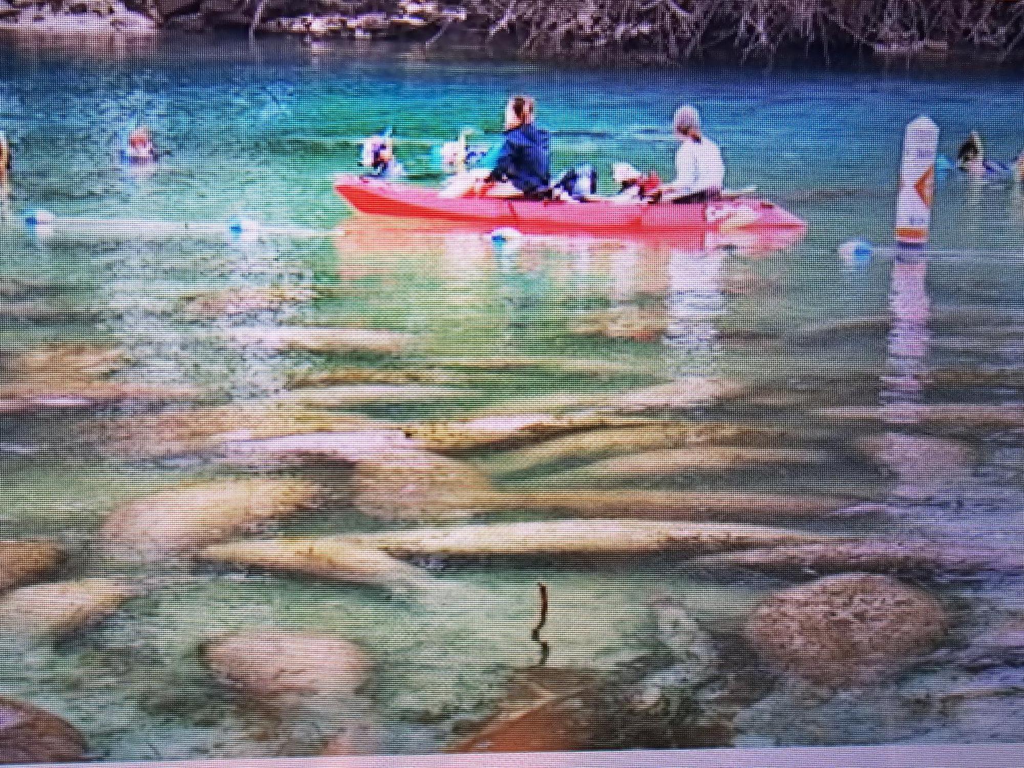 Appartement Manatee Watch Den à Crystal River Extérieur photo